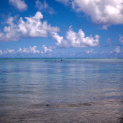 Wilcommen, No. 0154 A Group of Young Spear Fishermen Gather Inside the Reef